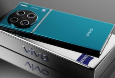 Penerus Vivo X200 Makin Gahar, Vivo X300 Usung Kamera 200MP?