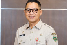 Tiga Sektor Pajak di Sumsel Gagal Tembus Target 2025