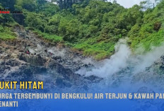 Bukit Hitam, Surga Tersembunyi di Bengkulu! Air Terjun & Kawah Panas Menanti