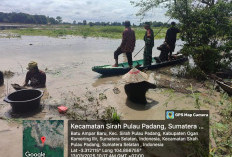 Heboh! Warga Serbu Rawa Batu Ampar
