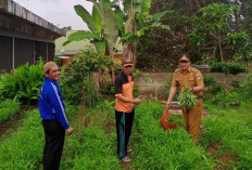 Manfaatkan Lahan Pekarangan untuk Tanam Sayur dan Pelihara Ikan