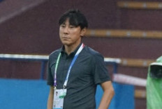 Shin Tae-yong Resmi Hengkang: PSSI Ungkap Alasan di Balik Keputusan