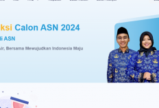 Link Pengumuman Hasil Seleksi CPNS 2024 di Tujuh Instansi: Berikut Rinciannya 