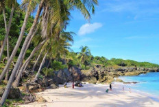 Pantai Uinian di Pulau Semau: Surga Tersembunyi yang Siap Menyihir Wisatawan