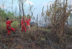Diduga Sengaja Dibakar