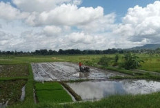 BMKG Prediksi Kemarau 2026 Lebih Kering, Warga dan Petani Diminta Siaga Hadapi El Nino