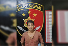 Tangkap Pelaku Pencuri Buah Sawit di PT Agro Kati Lama