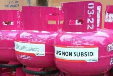 Gas Elpiji 3 Kg Pink Non-Subsidi Bikin Heboh Warganet!