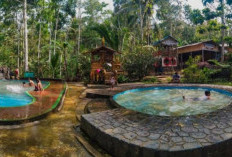 Wisata Alam Anti-Mainstream di Jombang, Cocok Buat Healing & Foto Aesthetic