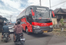 Pemudik Diminta Waspada Jalan Rusak