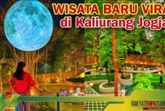 Destinasi Wisata Hits di Jogja: Eksplorasi Eha Forest yang Instagramable dan Viral!.