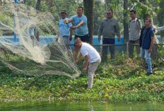 H Cik Ujang Panen Ikan Bersama Tim dan Keluarga