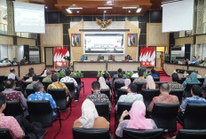 MENGEJUTKAN! SUMSEL RANCANG PEMBANGUNAN BESAR-BESARAN, INI DETAILNYA!