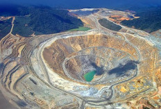 Freeport Geber Produksi! 2 Ton Emas Batangan Siap Pasar Tiap Bulan