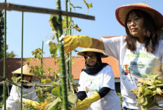 Penghargaan UN Women WEPs 2024 Apresiasi Inisiatif Pemberdayaan Perempuan di Indonesia