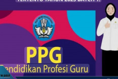 Resmi Dirilis! 101.581 Guru Lolos Seleksi Administrasi PPG 2025, Ini Link dan Jadwal Lengkapnya
