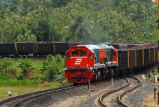 KAI Pesan 54 Lokomotif Baru dari AS Senilai Rp 3,56 Triliun, Fokus Perkuat Angkutan Batu Bara
