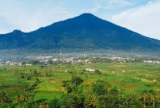 Menjelajahi Gunung Ciremai, Keindahan Alam dan Warisan Budaya di Majalengka