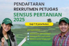 BPS Tegaskan Rekrutmen Petugas Sensus Pertanian 2025 yang Viral di Media Sosial Adalah Hoaks