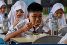 Setahun Program MBG, Pakar Gizi UGM Minta Setop Penggunaan Ultra Processed Food