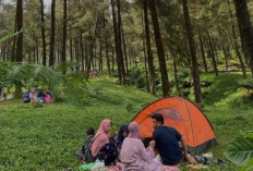 Purwokerto, Kota Wisata dengan Pesona Alam dan Edukasi kelurga