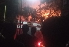 Kebakaran Hebohkan Warga Talang Baru Muara Pinang