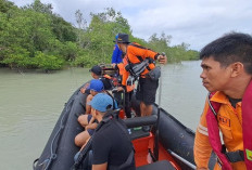 NGERI! Bocah 7 Tahun Diterkam Buaya, Tim SAR Berjuang Keras Temukan Korban