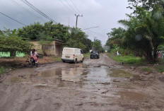Gubernur Merespon Kerusakan Jalan Provinsi Sekayu-Pali
