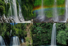 Dibalik keindahan kebun Teh dan lembah Dempo Pagaralam terdapat Tujuh air Terjun cantik Tersembunyi!