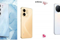 Transsion Geser Samsung dan Xiaomi, HP Murah TECNO-Infinix-Itel Kuasai Pasar Indonesia