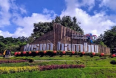 Dusun Bambu Cisarua: Destinasi Wisata Terpadu yang Memikat dengan Pengalaman Kuliner dan Penginapan Unik!