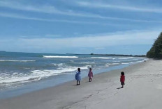 Keindahan Tersembunyi! Pantai Indah Sibintang, Surga Tersembunyi di Tapanuli yang Wajib Dikunjungi