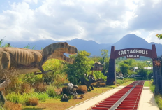 Liburan Seru Keluarga di Malang: Ini 5 Tempat Wisata Favorit, dari Jatim Park 3 hingga Pantai Balekambang