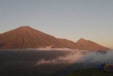 Bukit Pergasingan, Spot Sunrise Paling Fotogenik di Lombok Timur!