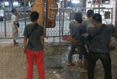 Wali Kota Semarang Instruksikan Perbaikan Fasilitas Umum Pascademonstrasi