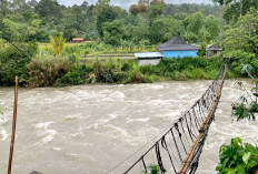 Bupati Lahat Tinjau Jembatan Gantung Rusak