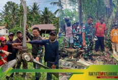 Penemuan Bersejarah: Bangkai Pesawat Perang Dunia II Ditemukan di Hutan Keramat Papua