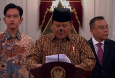 Prabowo Tunjuk Gibran sebagai Plt Presiden, Ini Wewenang dan Tugasnya