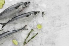10 Manfaat Sehat Ikan Gindara yang Kaya Omega-3