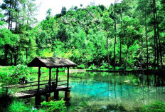 Eksplorasi Wisata Alam Blitar 2025: Surganya Pecinta Alam di Jawa Timur