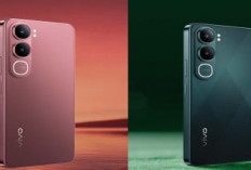 Vivo Y31 Resmi Meluncur di India, Harga Murah Fitur Premium
