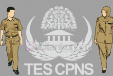 CPNS 2025: Kapan Pendaftaran Dibuka? Simak Informasi Terbaru dari BKN