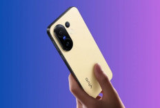 Vivo X300 FE: Varian Premium Terjangkau yang Siap Guncang Pasar