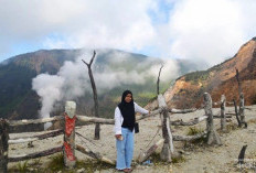 Mendaki Gunung Papandayan: Pesona Hutan Mati yang Menantang!