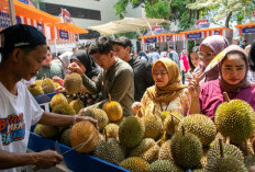 Kelompok Petani Durian di Pekalongan Berkembang Pesat Berkat Dukungan BRI