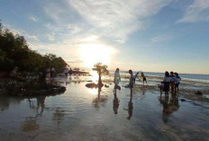 Menikmati Pesona Eksotis Pantai Walakiri di Sumba Timur, Keindahan yang Tak Tertandingi!
