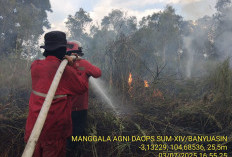 Karhutla Landa Sumsel, 20 Hektare Lebih Lahan Terbakar di Tiga Wilayah