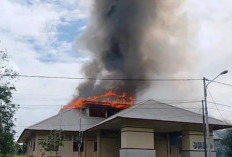 Puluhan Orang Bakar Kantor BKD Boven Digoel Karena Kecewa Hasil Tes SKD CPNS