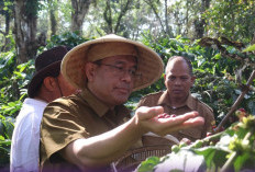 Pemkot – OJK Bahas Program untuk Petani Kopi