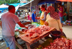 Harga Ayam Potong di Sanga Desa Tembus Rp40 Ribu per Kilogram